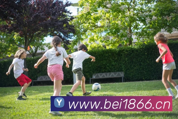 pg.cm国际平台生态图