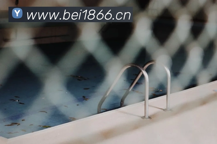 pg.cm国际APP 封面图